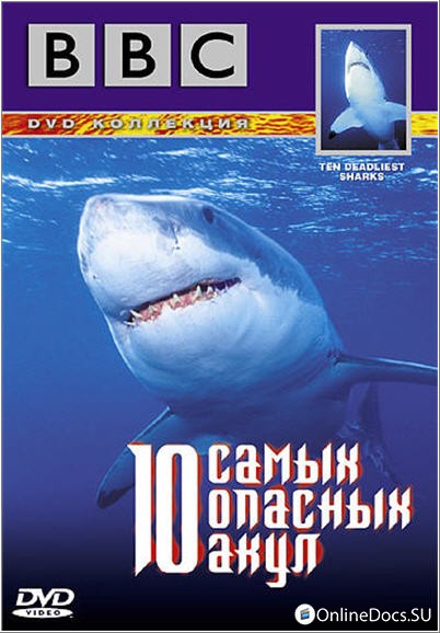 Постер 10 Самых Опасных Акул 