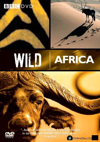 Постер BBC. Африка 
