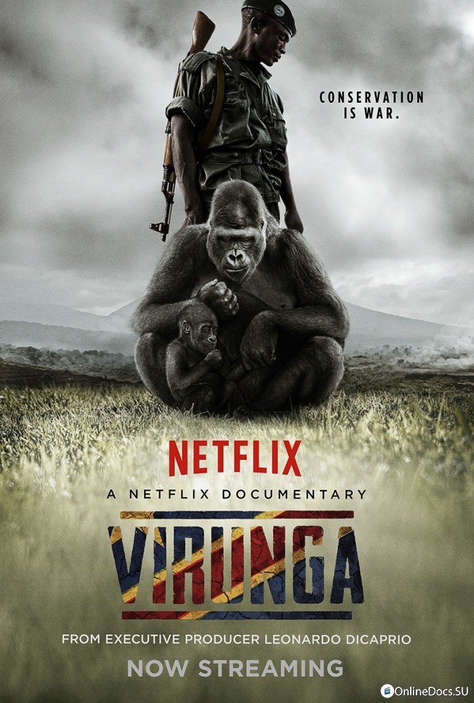 Постер Вирунга 