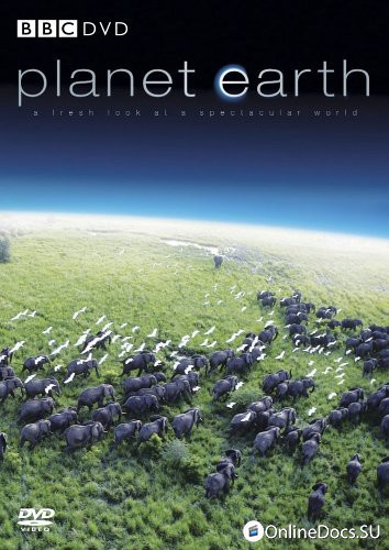 Постер Планета земля 