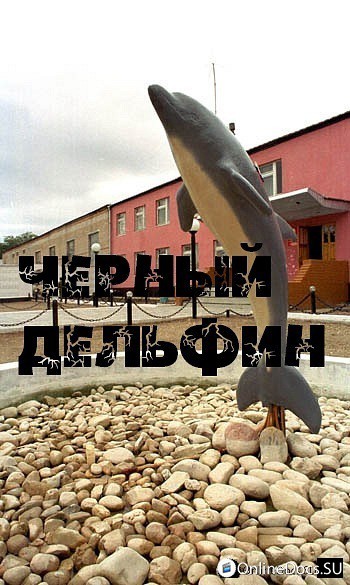 Постер Тюрьма Черный дельфин 