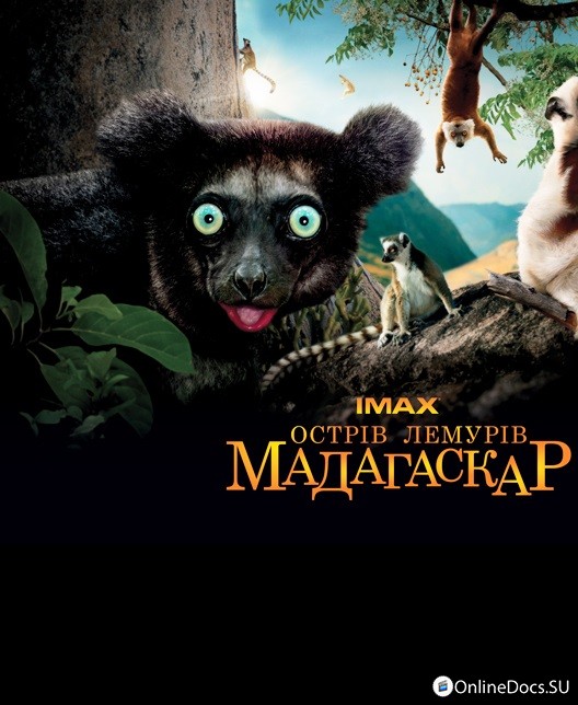 Постер Остров лемуров: Мадагаскар 