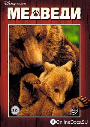 Постер Медведи 