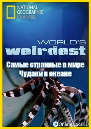 Постер Самые Странные в Мире Животные . Чудаки в Океане 