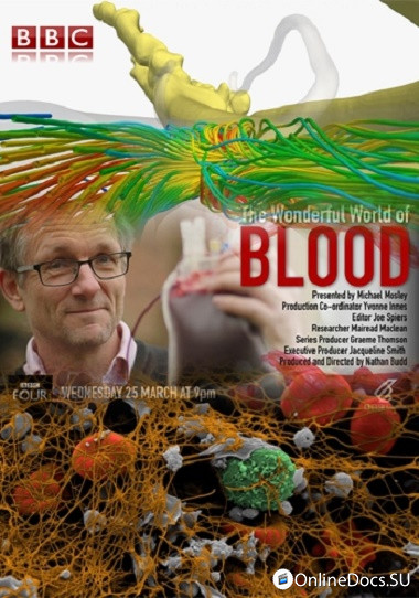 Постер Удивительный мир крови 