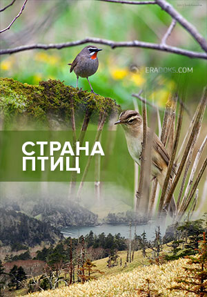 Постер Страна птиц 