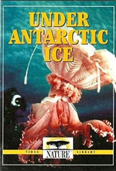 Постер Природа: Антарктика. Подо льдом (Антарктида. Подводный мир) / Nature: Under Antarctic Ice (2001) смотреть онлайн 