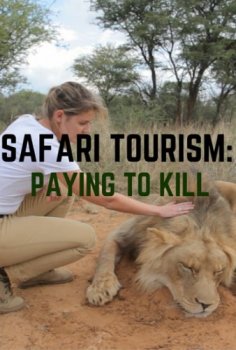 Постер Сафари туризм: Платить, чтобы убить / Safari tourism: Paying to Kill (2015) смотреть онлайн 