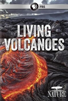 Постер Жизнь на вулкане / Living with Volcanoes (2019) смотреть онлайн 