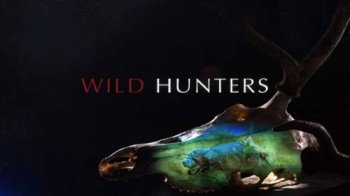 Постер Дикие охотники. Волки и шакалы / Wild Hunters. Wolves & Jackals (2019) смотреть онлайн 