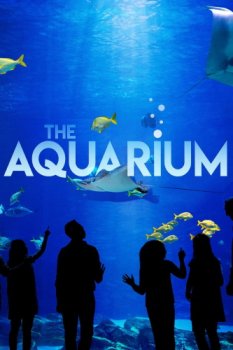 Постер Океанариум / The Aquarium (2019) смотреть онлайн 