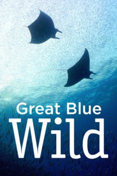 Постер Великое подводное приключение у острова Косумель / Great Blue Wild (2015) смотреть онлайн 