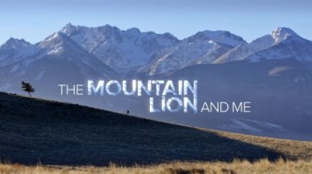 Постер По следам пумы / The Mountain Lion and Me (2017) смотреть онлайн 