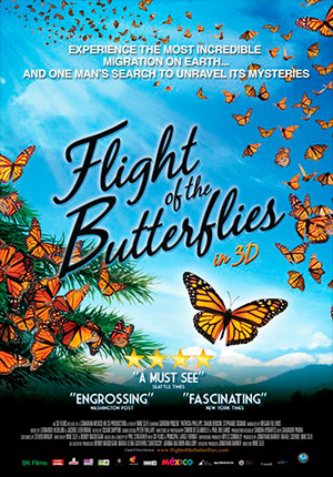 Постер Полет бабочки 