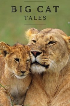 Постер Большие кошки Кении / Big Cat Tales (2018) смотреть онлайн 