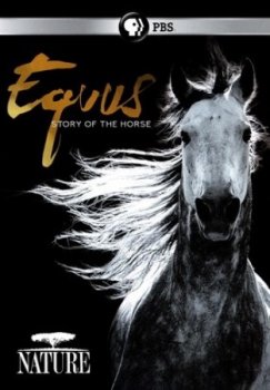 Постер Эквус: История лошади / Equus: Story of the Horse (2018) смотреть онлайн 