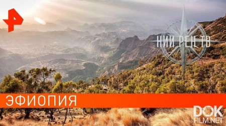 Постер НИИ. Путеводитель... по Эфиопии (2019) 