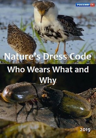 Постер Дресс-код в дикой природе. Кто что носит и почему? / Nature