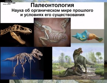 Постер Станислав Дробышевский: «Палеонтология антрополога» 