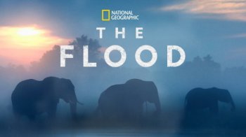 Постер Потоп / The Flood (2019) смотреть онлайн 