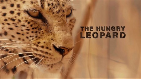 Постер Охотники Африки. Последнее противостояние леопарда / Africa
