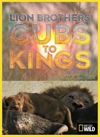 Постер Львы. Kак братья стали королями / Lion Brothers: Cubs To Kings (2019) 