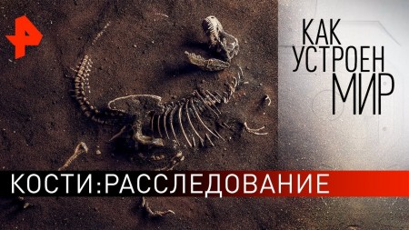 Постер Кости: расследование. Как устроен мир с Тимофеем Баженовым (27.02.2020) 