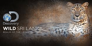 Постер Дикая Шри-Ланка: царство леопардов / Wild Sri Lanka: Realm of the Leopard (2018) 