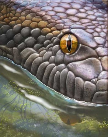 Постер Гигантские змеи. Удавы / Monster Constrictors (2019) 