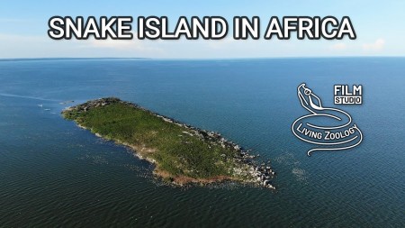 Постер Змеиный остров: Дикие и смертоносные / Snake Island: Wild and Deadly (2020) 