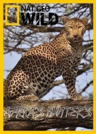 Постер Королевство леопардов / Leopard kingdom (2018) 