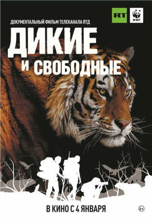 Постер Дикие и свободные (2020) 