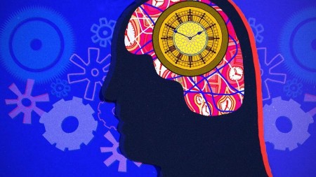 Постер Биологические часы: как они работают? / Body Clock: What Makes Us Tick? 