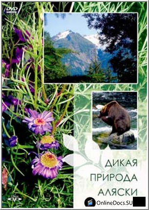 Постер Дикая природа Аляски 
