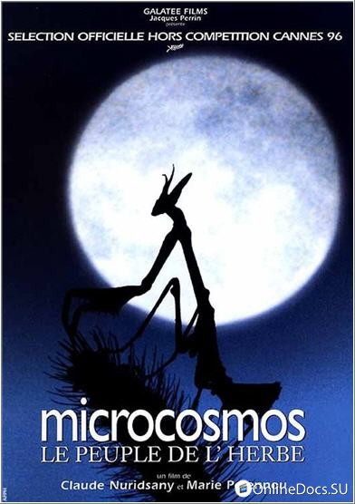 Постер Микрокосмос 
