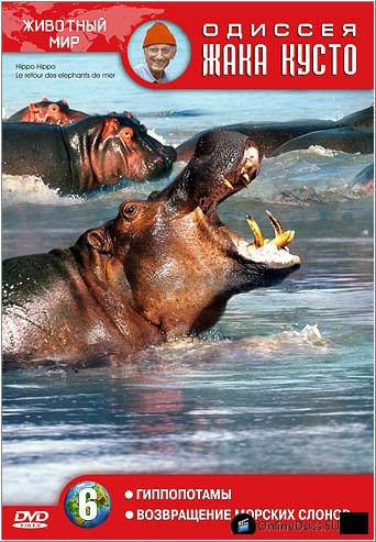 Постер Возвращение морских слонов 